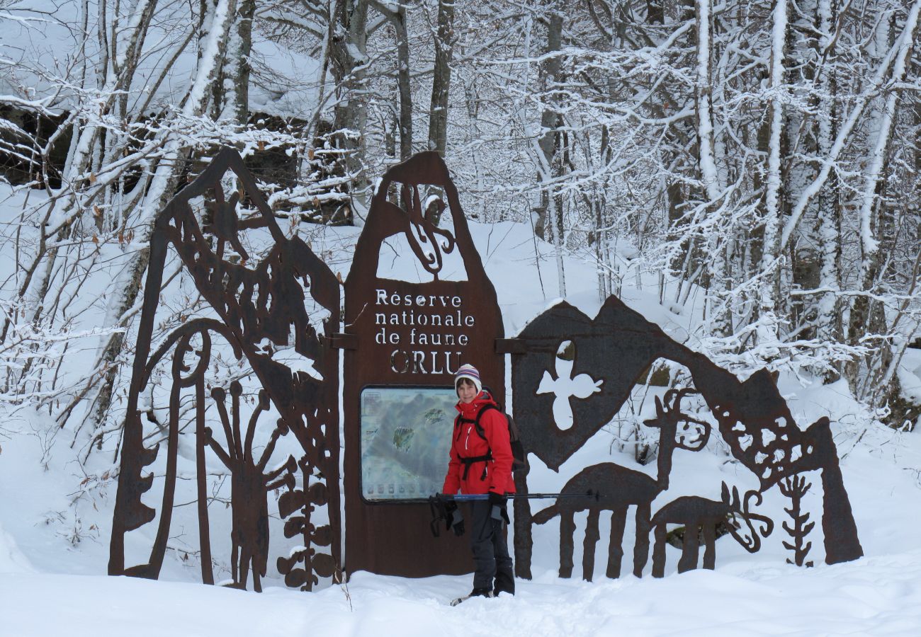 Chalet à Orlu - Chalet Orlu : côté montagne 