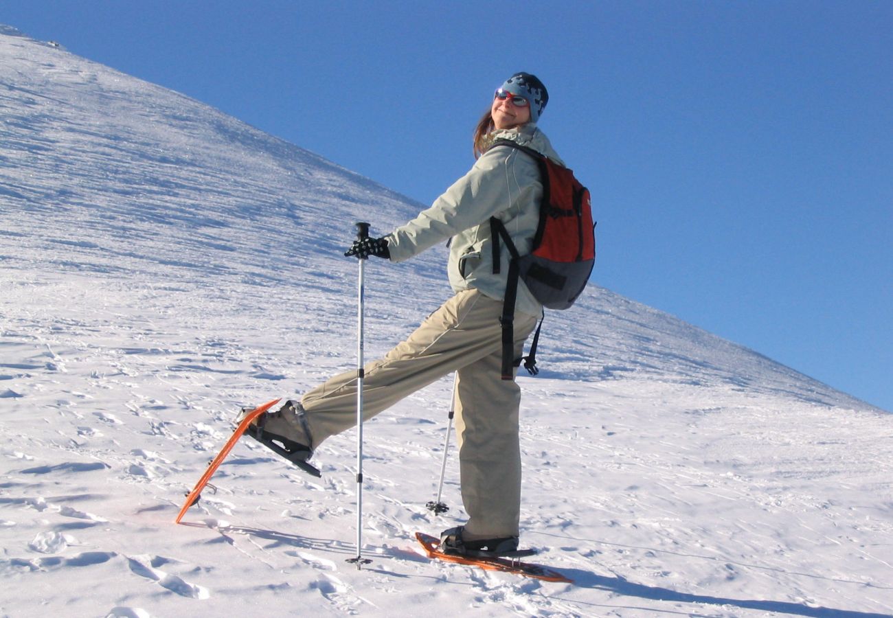 Chalet à Orlu - Chalet Orlu : côté montagne 