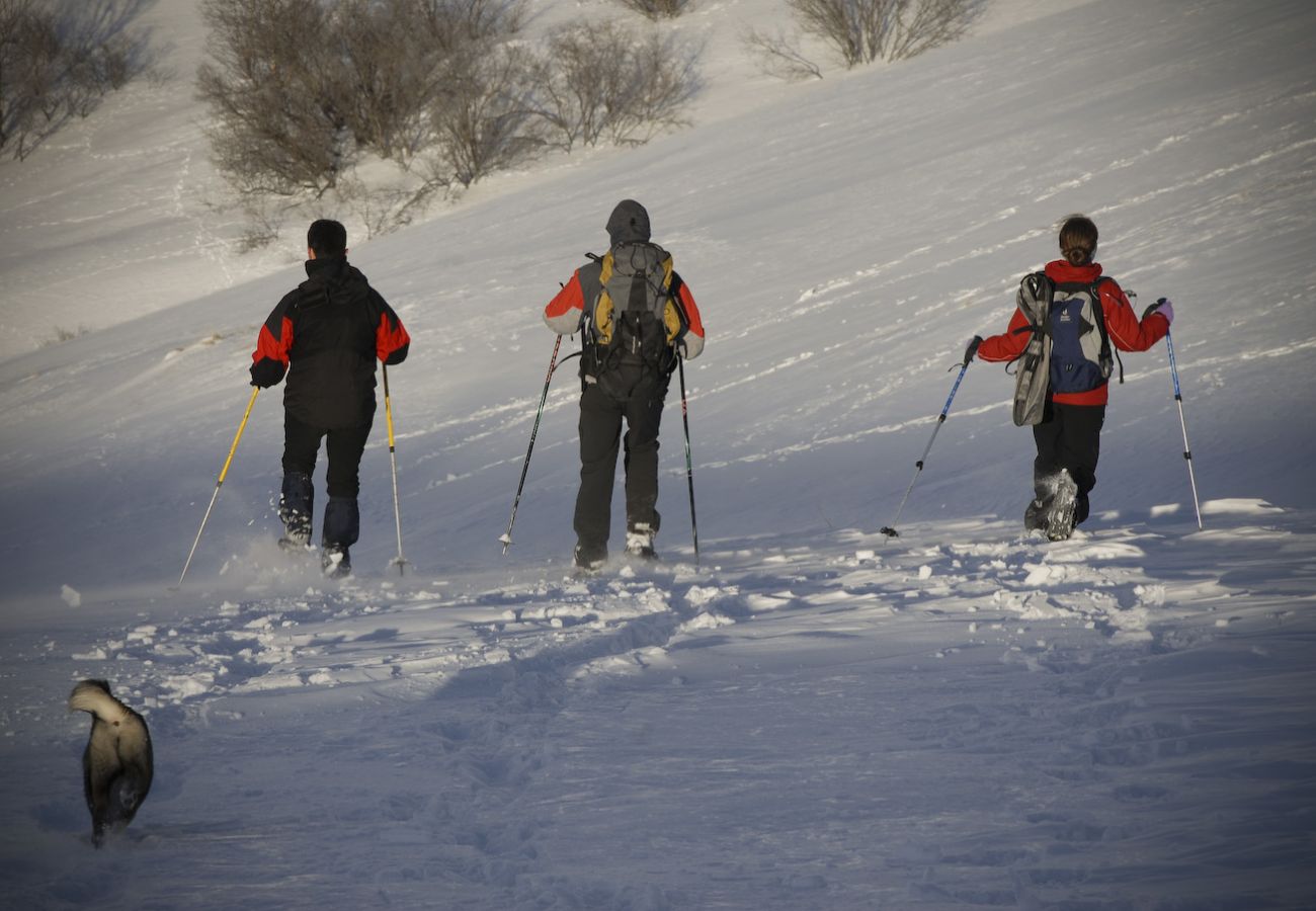 Chalet à Orlu - Chalet Orlu : côté montagne 